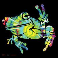 Cool Peace Frog Tie Dye Ornament thumb 1