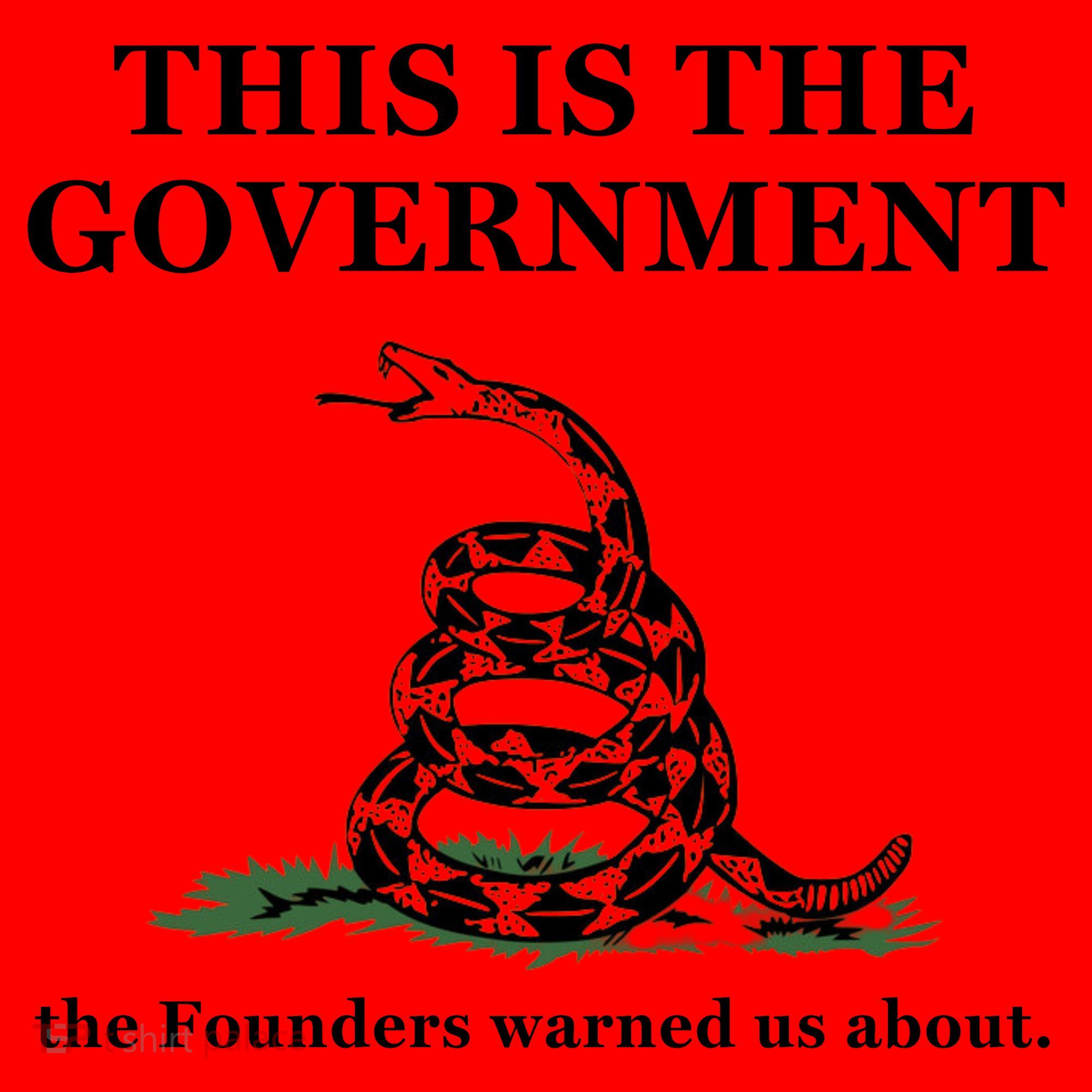 Conservative Patriotic Gadsden Defund The FBI Santa Hat