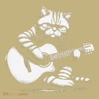 Cat Playing Guitar Acoustic Guitar Kids T-Shirt thumb 2