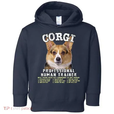 Toddler Hoodie