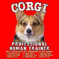 Corgi Professional Human Trainer Cute Dog Santa Hat thumb 1