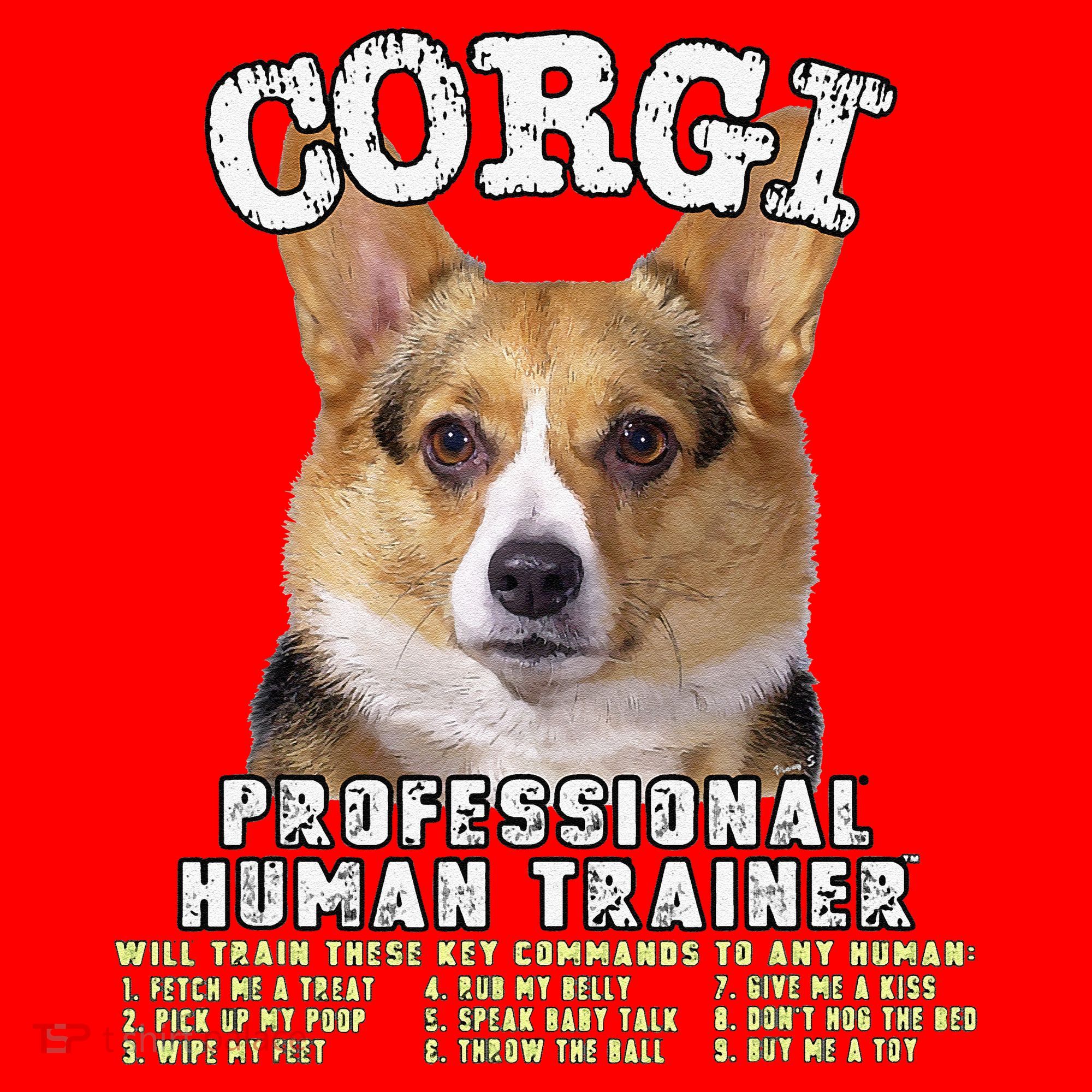 Corgi Professional Human Trainer Cute Dog Santa Hat