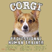 Corgi Professional Human Trainer Cute Dog Hoodie thumb 7