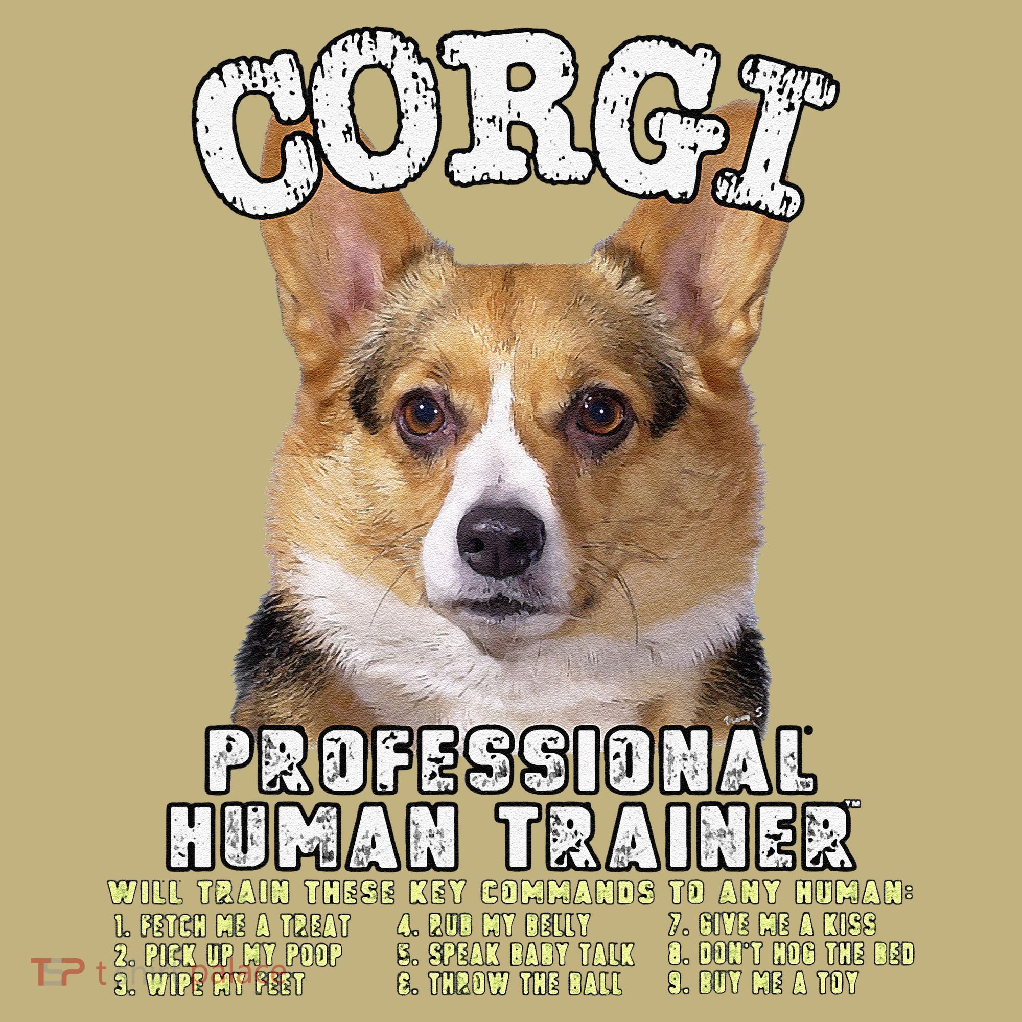 Corgi Professional Human Trainer Cute Dog Polo