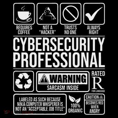 Cybersecurity Professional Hacker Certified Tech Security Hoodie