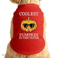 Coolest Pumpkin In The Patch Toddle Kids Boy Halloween Doggie Tank thumb 0