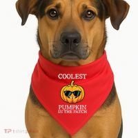 Coolest Pumpkin In The Patch Toddle Kids Boy Halloween USA-Made Doggie Bandana thumb 1