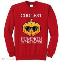 Coolest Pumpkin In The Patch Toddle Kids Boy Halloween Sweatshirt thumb 0