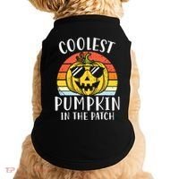 Coolest Pumpkin In The Patch Toddle Kids Boy Halloween Doggie Tank thumb 0