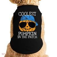 Coolest Pumpkin In The Patch Halloween Doggie Tank thumb 0
