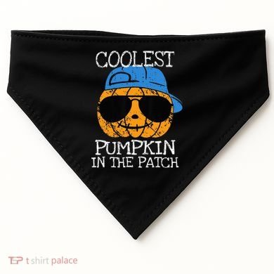 Coolest Pumpkin In The Patch Halloween USA-Made Doggie Bandana