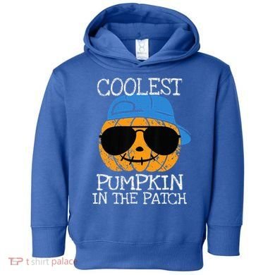Coolest Pumpkin In The Patch Halloween Toddler Hoodie