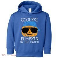 Coolest Pumpkin In The Patch Halloween Toddler Hoodie thumb 0