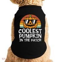 Coolest Pumpkin In The Patch Halloween Doggie Tank thumb 0