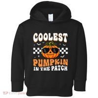 Coolest Pumpkin In The Patch Halloween Toddler Hoodie thumb 0
