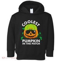 Coolest Pumpkin In The Patch Pumpkin Halloween Toddler Hoodie thumb 0
