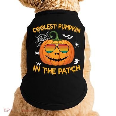 Coolest Pumpkin In The Patch Funny Pumpkin Sunglasses Gift Doggie Tank