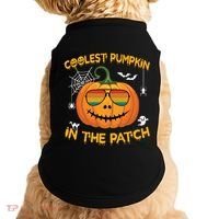Coolest Pumpkin In The Patch Funny Pumpkin Sunglasses Gift Doggie Tank thumb 0