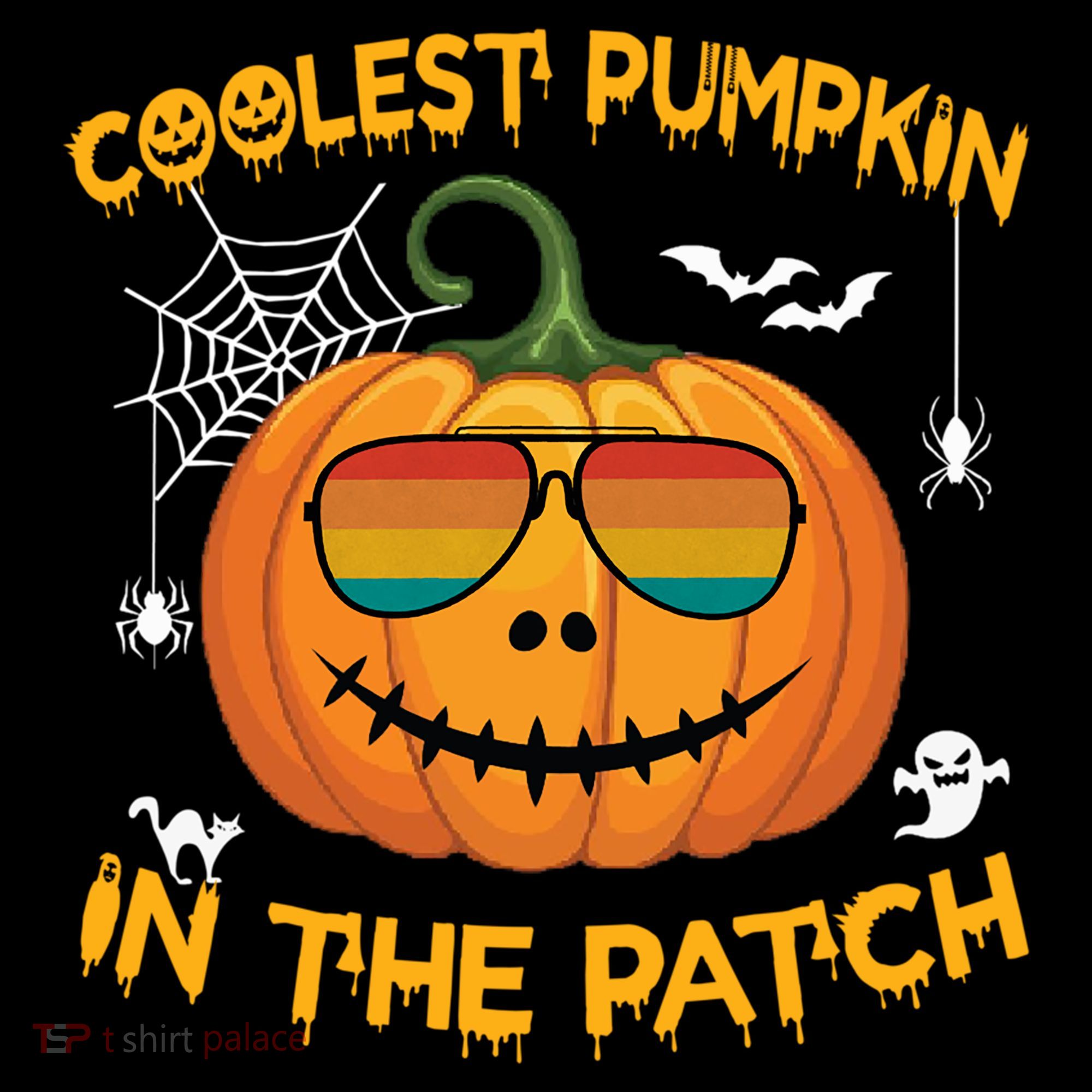 Coolest Pumpkin In The Patch Funny Pumpkin Sunglasses Gift Women's Hoodie