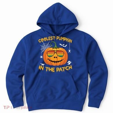 Coolest Pumpkin In The Patch Funny Pumpkin Sunglasses Gift Hoodie