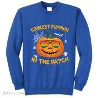 Coolest Pumpkin In The Patch Funny Pumpkin Sunglasses Gift Sweatshirt thumb 0