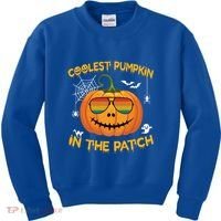Coolest Pumpkin In The Patch Funny Pumpkin Sunglasses Gift Kids Sweatshirt thumb 0