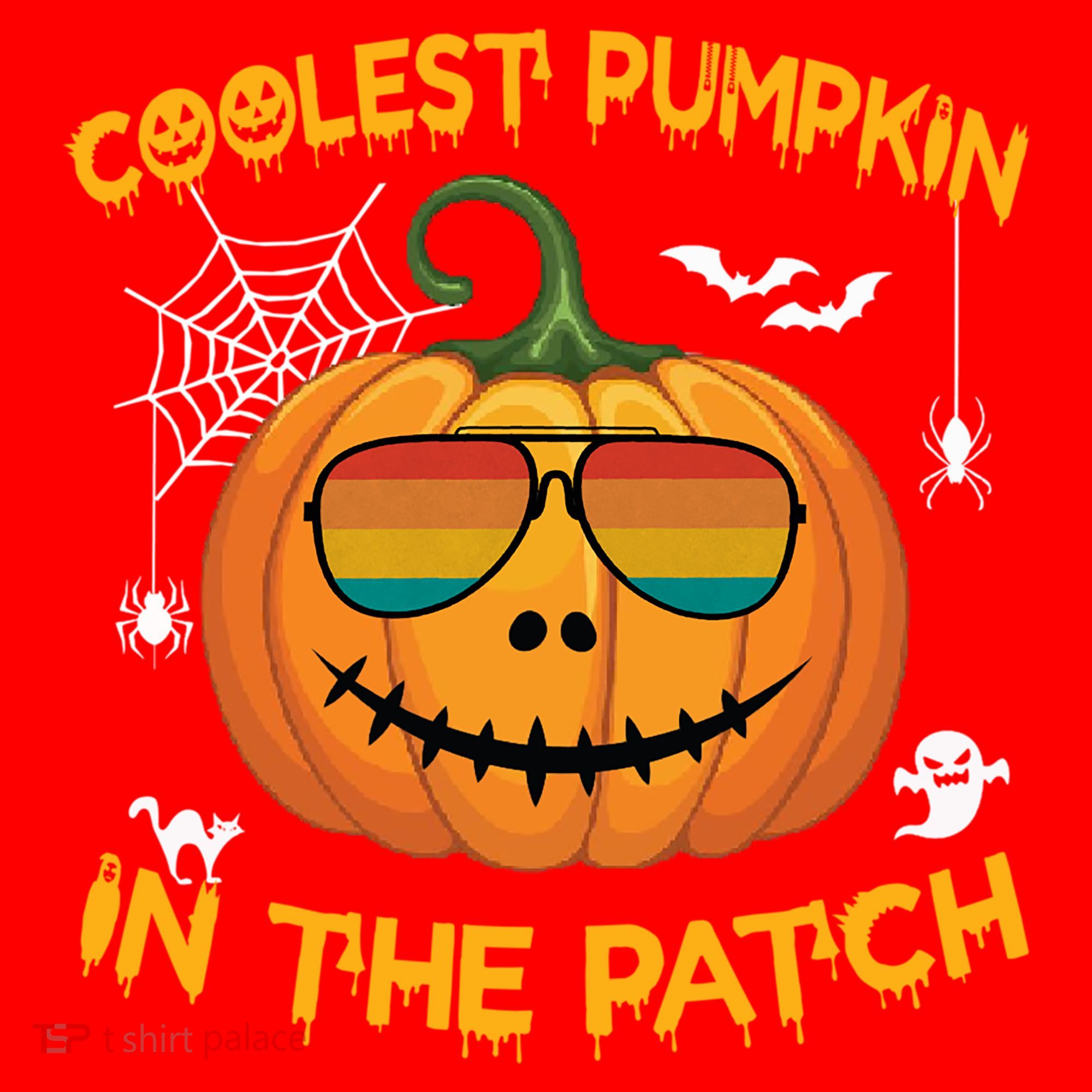 Coolest Pumpkin In The Patch Funny Pumpkin Sunglasses Gift Santa Hat