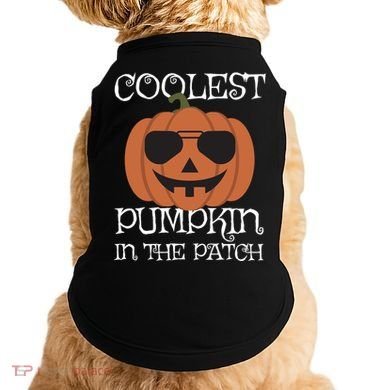 Coolest Pumpkin In The Patch Halloween Cute Gift Doggie Tank