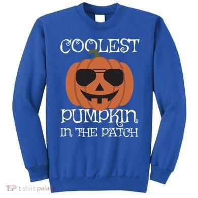 Coolest Pumpkin In The Patch Halloween Cute Gift Sweatshirt
