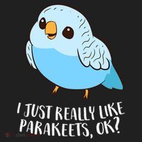 Cute Parakeet I Just Really Like Parakeets Ok Parakeet Bird Gift Beanie thumb 2