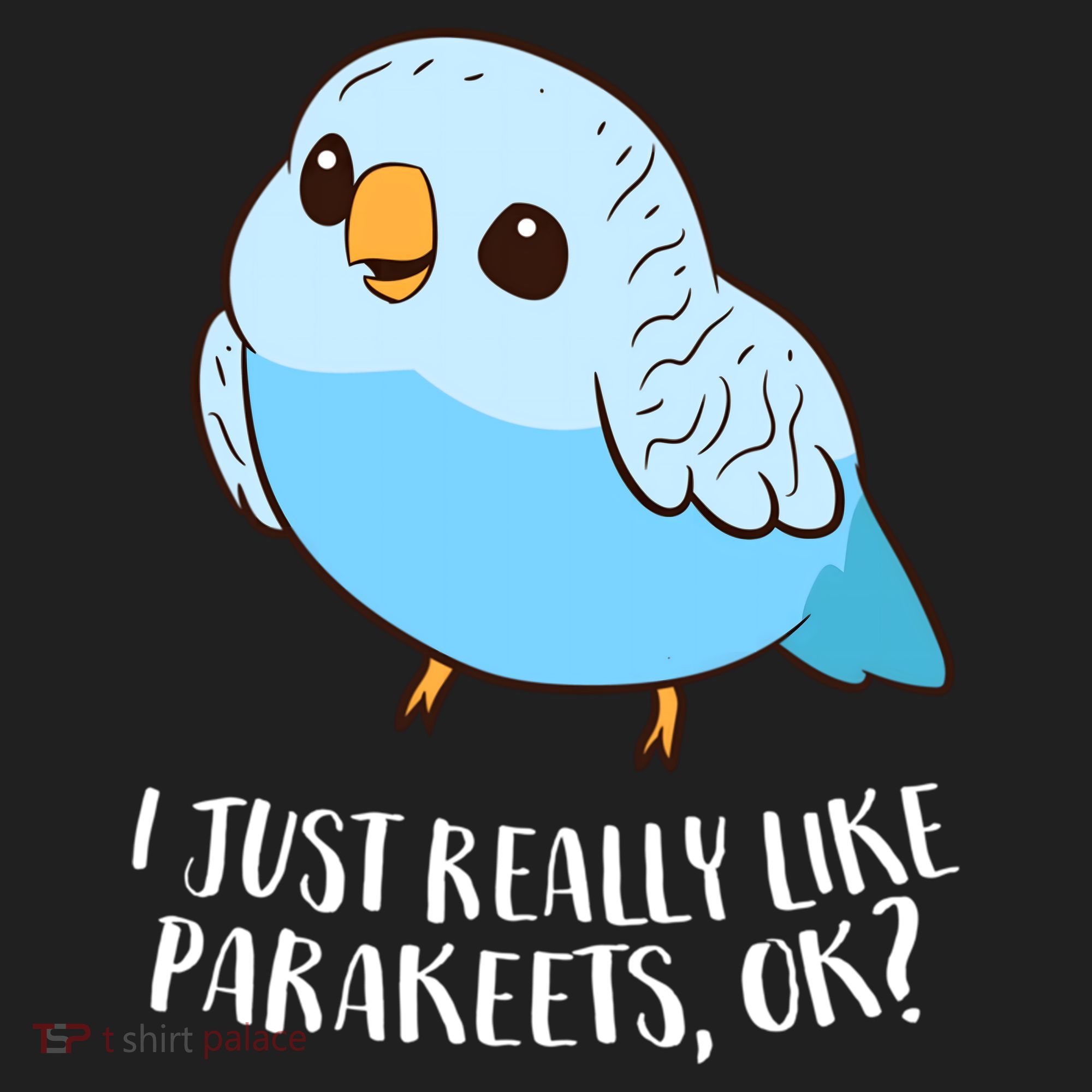 Cute Parakeet I Just Really Like Parakeets Ok Parakeet Bird Gift Beanie