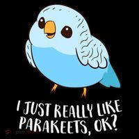 Cute Parakeet I Just Really Like Parakeets Ok Parakeet Bird Gift Women's Hoodie thumb 2