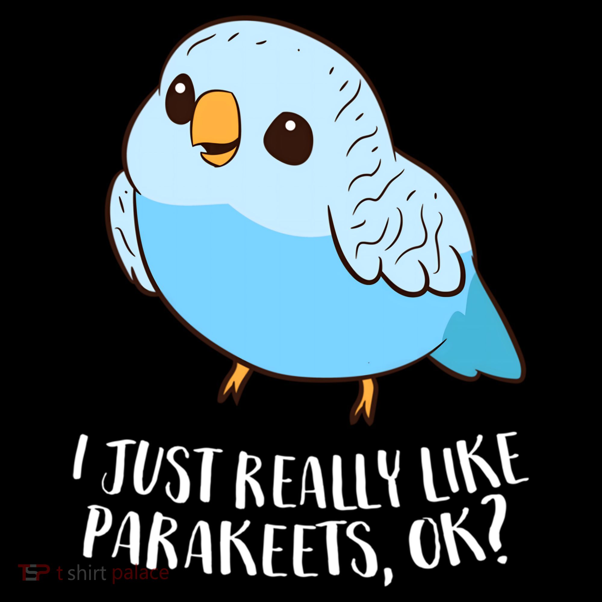 Cute Parakeet I Just Really Like Parakeets Ok Parakeet Bird Gift Women's Hoodie
