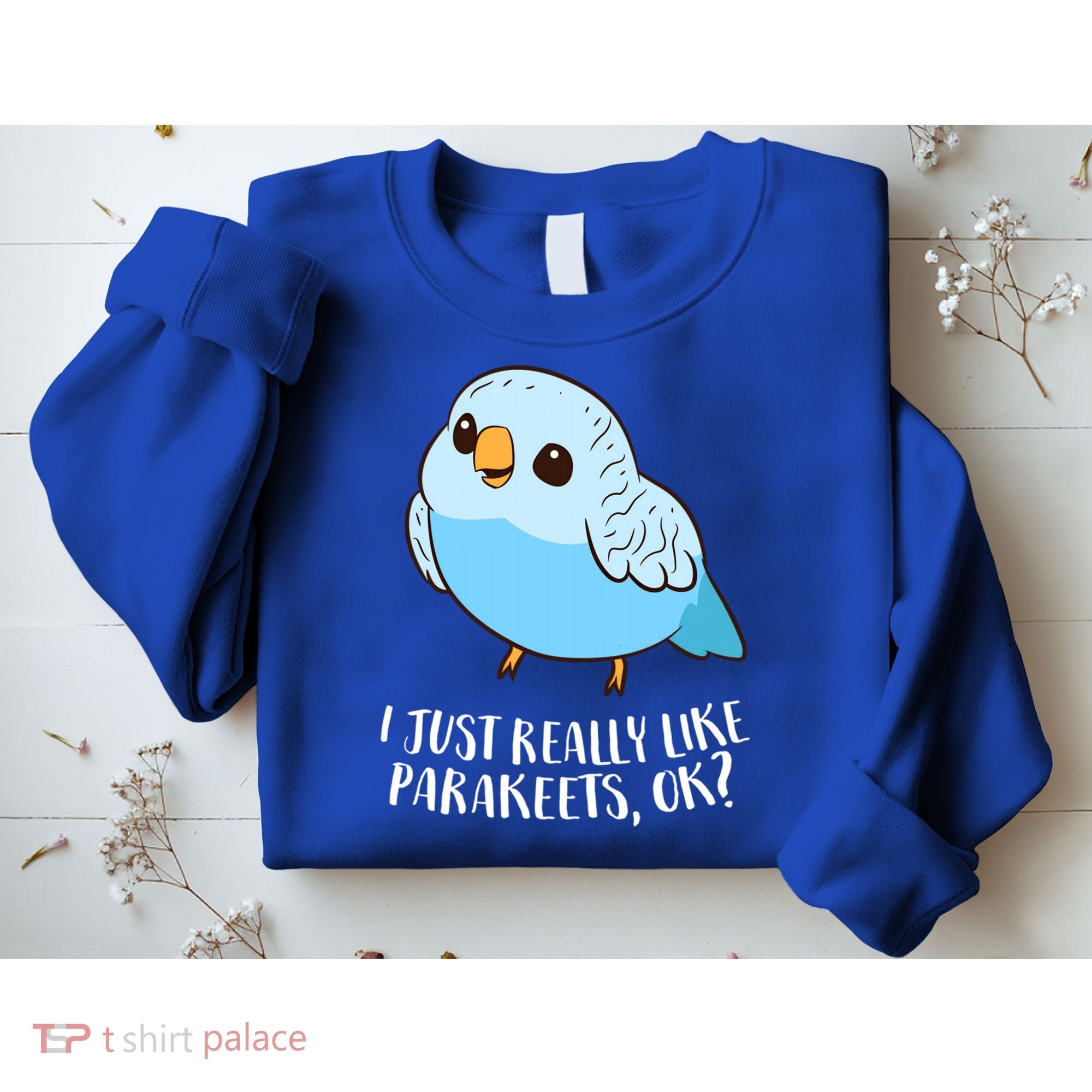 Cute Parakeet I Just Really Like Parakeets Ok Parakeet Bird Gift Sweatshirt