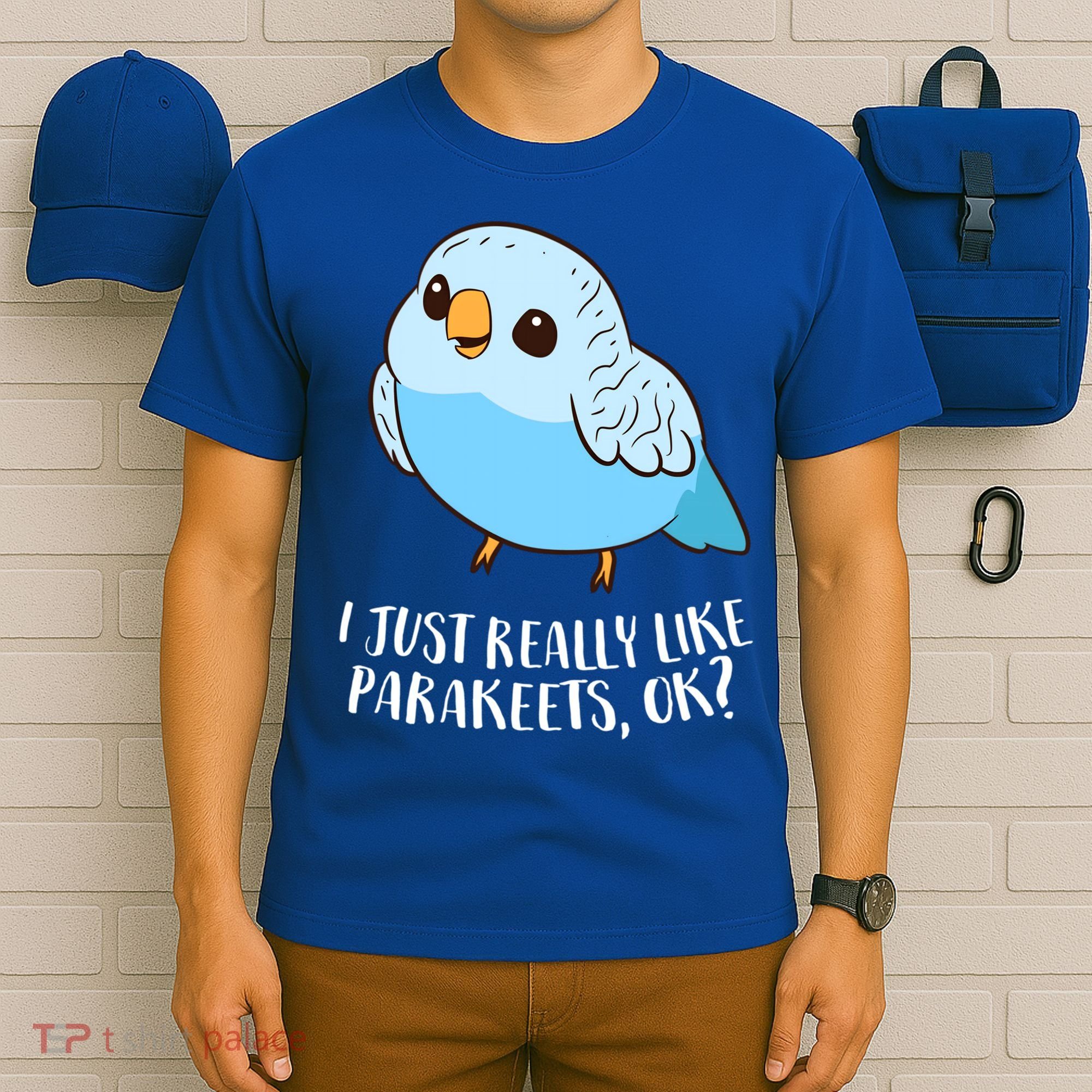 Cute Parakeet I Just Really Like Parakeets Ok Parakeet Bird Gift T-Shirt