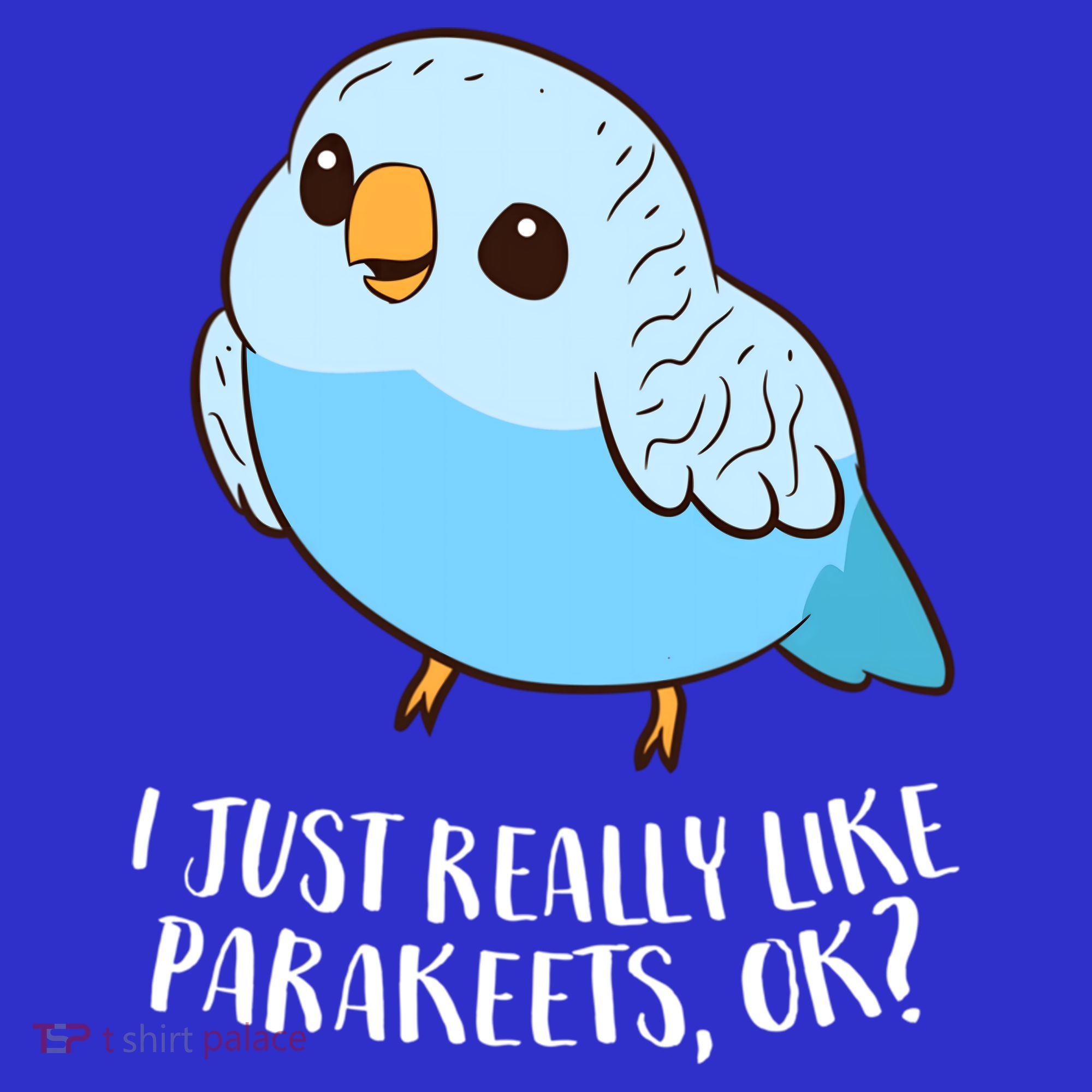Cute Parakeet I Just Really Like Parakeets Ok Parakeet Bird Gift Women's Tank Top