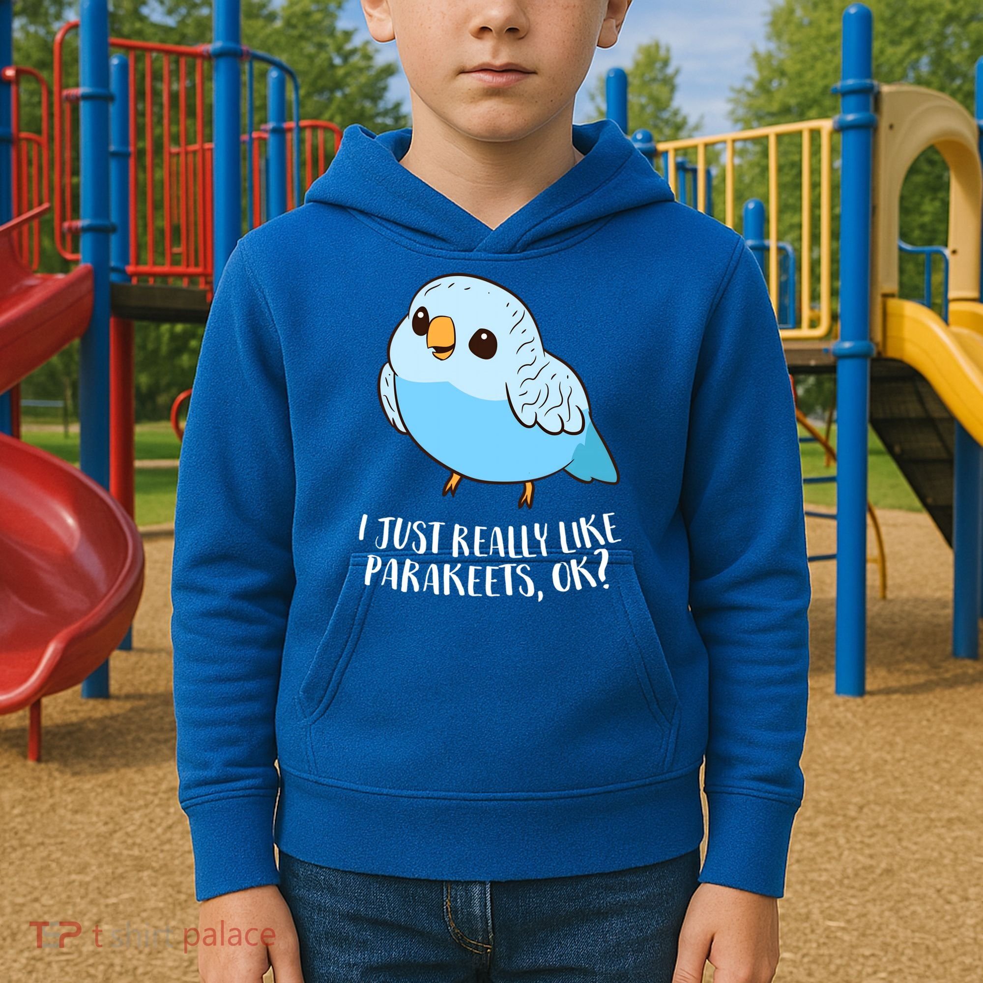 Cute Parakeet I Just Really Like Parakeets Ok Parakeet Bird Gift Kids Hoodie