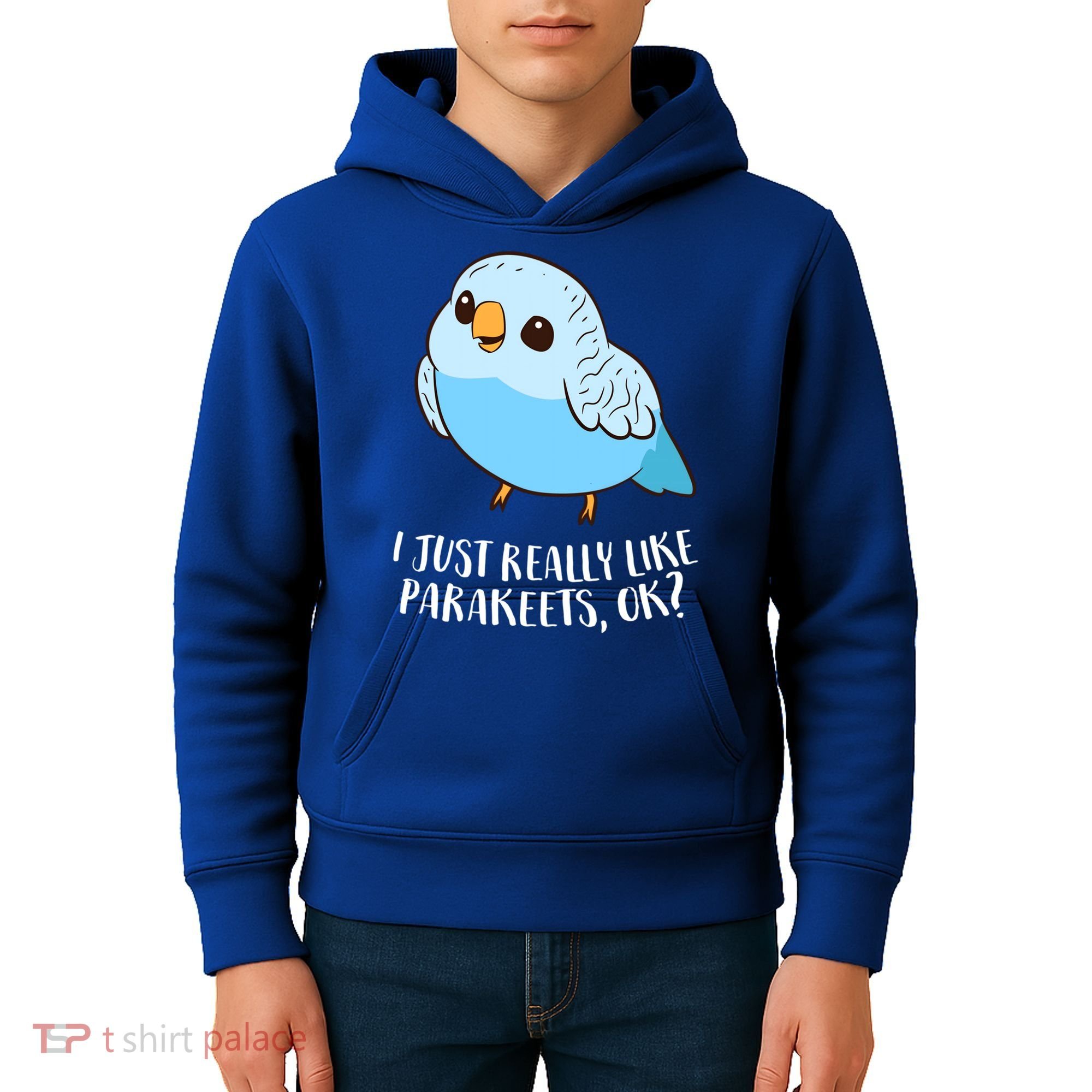 Cute Parakeet I Just Really Like Parakeets Ok Parakeet Bird Gift Kids Hoodie