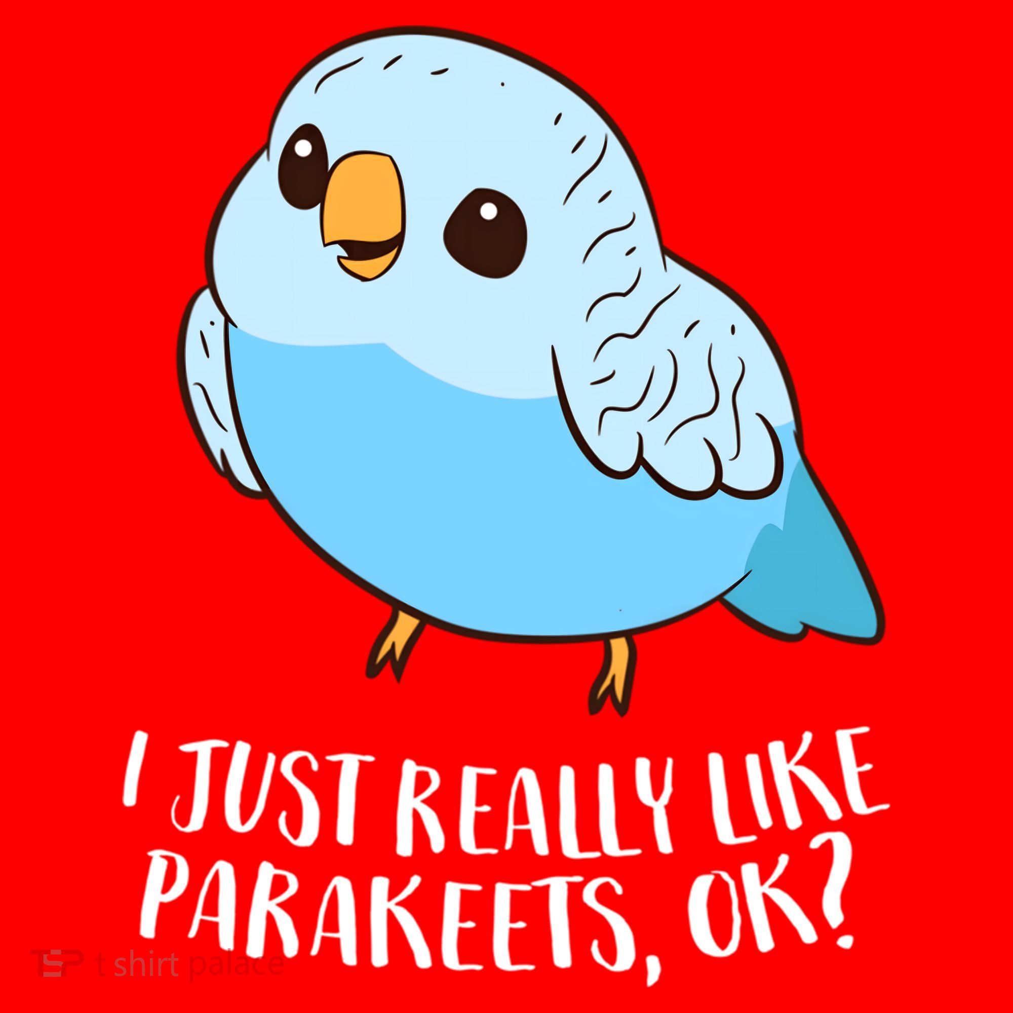 Cute Parakeet I Just Really Like Parakeets Ok Parakeet Bird Gift Santa Hat