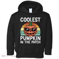 Coolest Pumpkin In The Patch Halloween Toddler Hoodie thumb 0