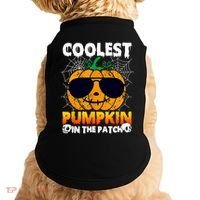 Coolest Pumpkin In The Patch Halloween Great Gift Doggie Tank thumb 0