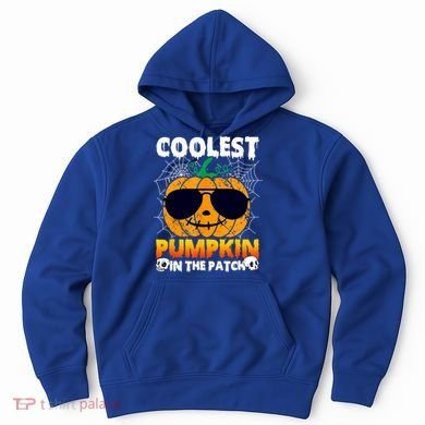 Coolest Pumpkin In The Patch Halloween Great Gift Hoodie