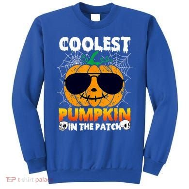 Coolest Pumpkin In The Patch Halloween Great Gift Sweatshirt