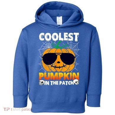 Coolest Pumpkin In The Patch Halloween Great Gift Toddler Hoodie