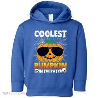 Coolest Pumpkin In The Patch Halloween Great Gift Toddler Hoodie thumb 0