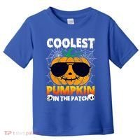 Coolest Pumpkin In The Patch Halloween Great Gift Toddler T-Shirt thumb 0