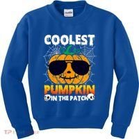 Coolest Pumpkin In The Patch Halloween Great Gift Kids Sweatshirt thumb 0