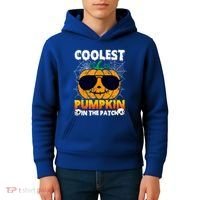 Coolest Pumpkin In The Patch Halloween Great Gift Kids Hoodie thumb 4