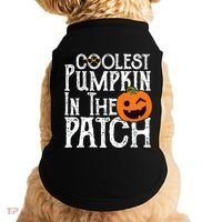 Coolest Pumpkin In The Patch Halloween Doggie Tank thumb 0