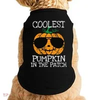Coolest Pumpkin In The Patch Halloween Doggie Tank thumb 0